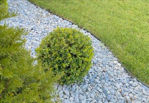 Akron Pebbles in Cyprus