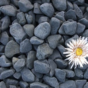 Garden Pebbles & Decorative Stones