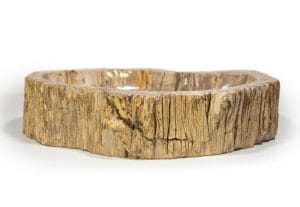 Sink Fossil in Cyprus Petraland