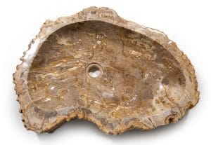 Sink Fossil in Cyprus Petraland
