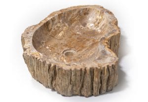 Sink Fossil in Cyprus Petraland