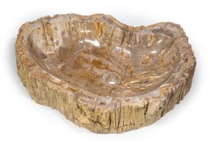 Sink Fossil in Cyprus Petraland