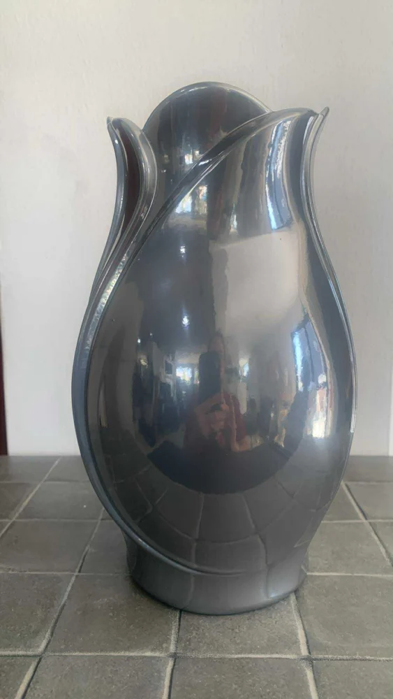50 euro(1)